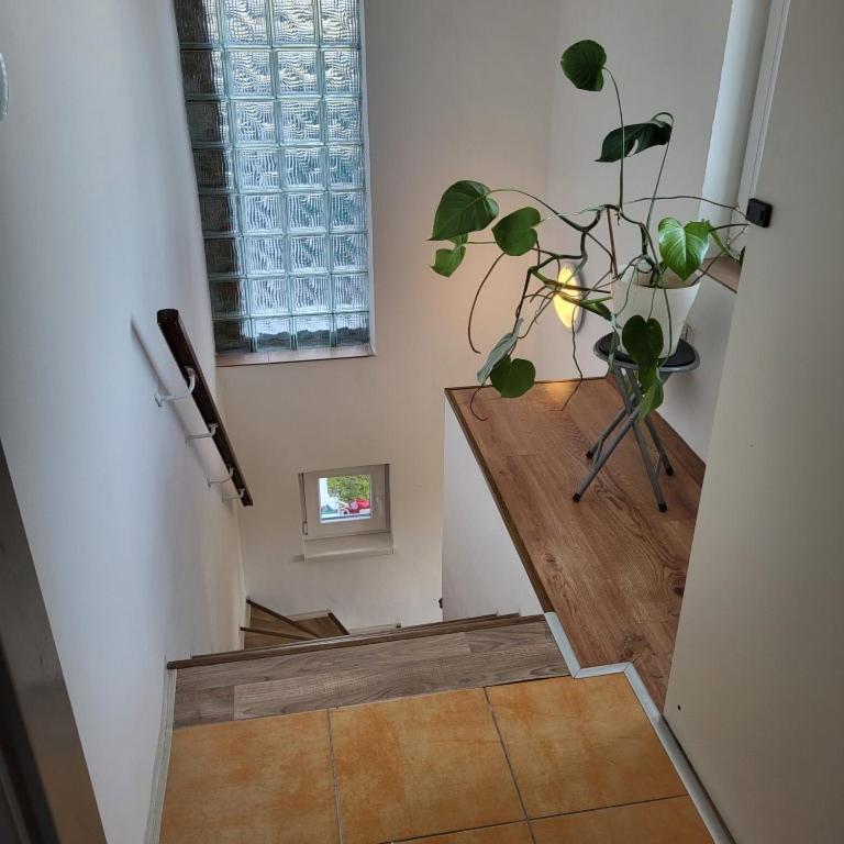 פראג Apartman ,,Rokytka" מראה חיצוני תמונה